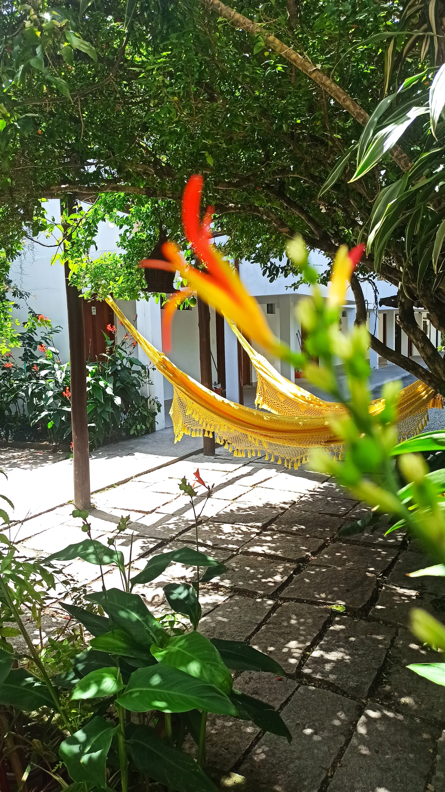 Hotel Natur Campeche - Foto 14