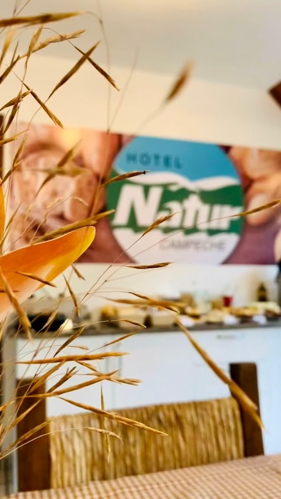 Hotel Natur Campeche - Foto 21