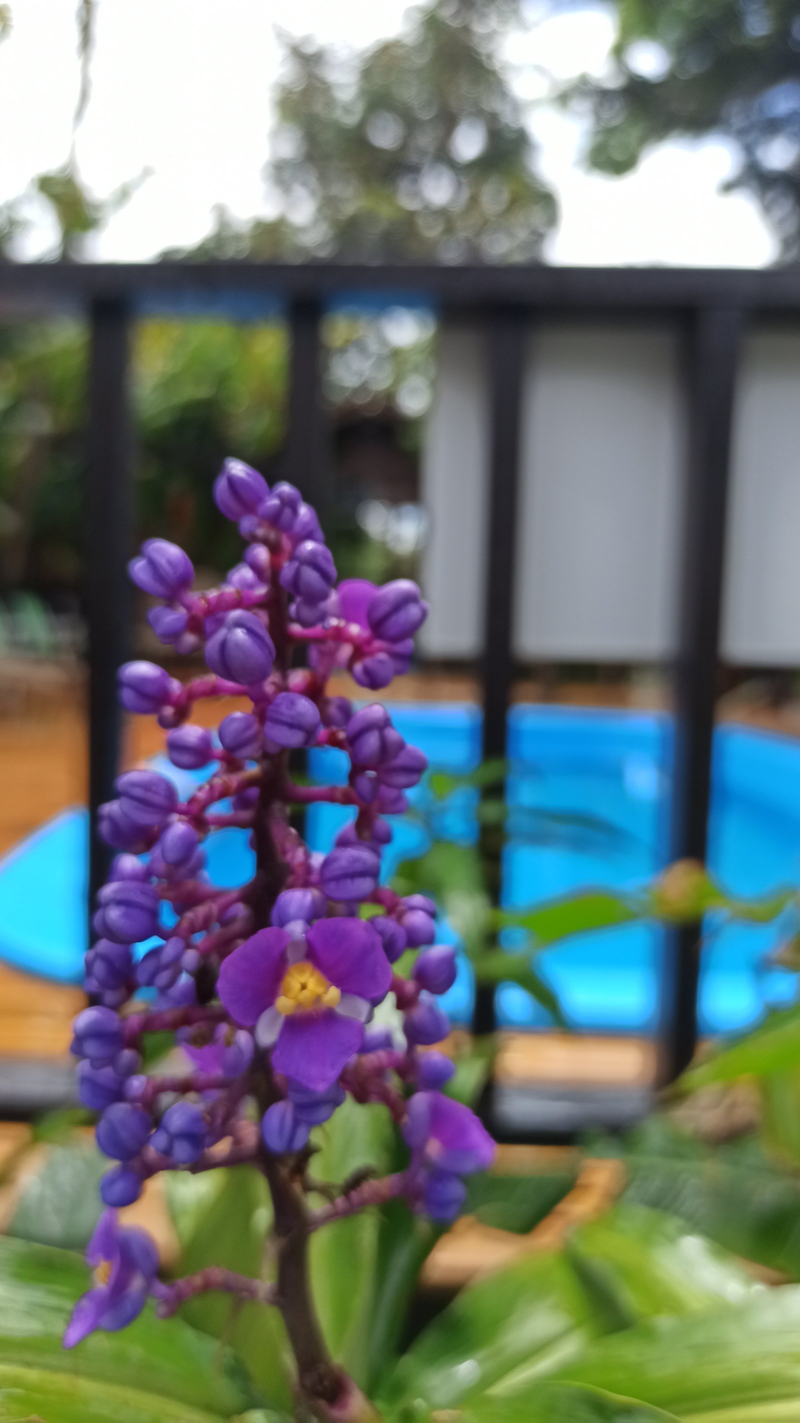 Hotel Natur Campeche - Foto 48