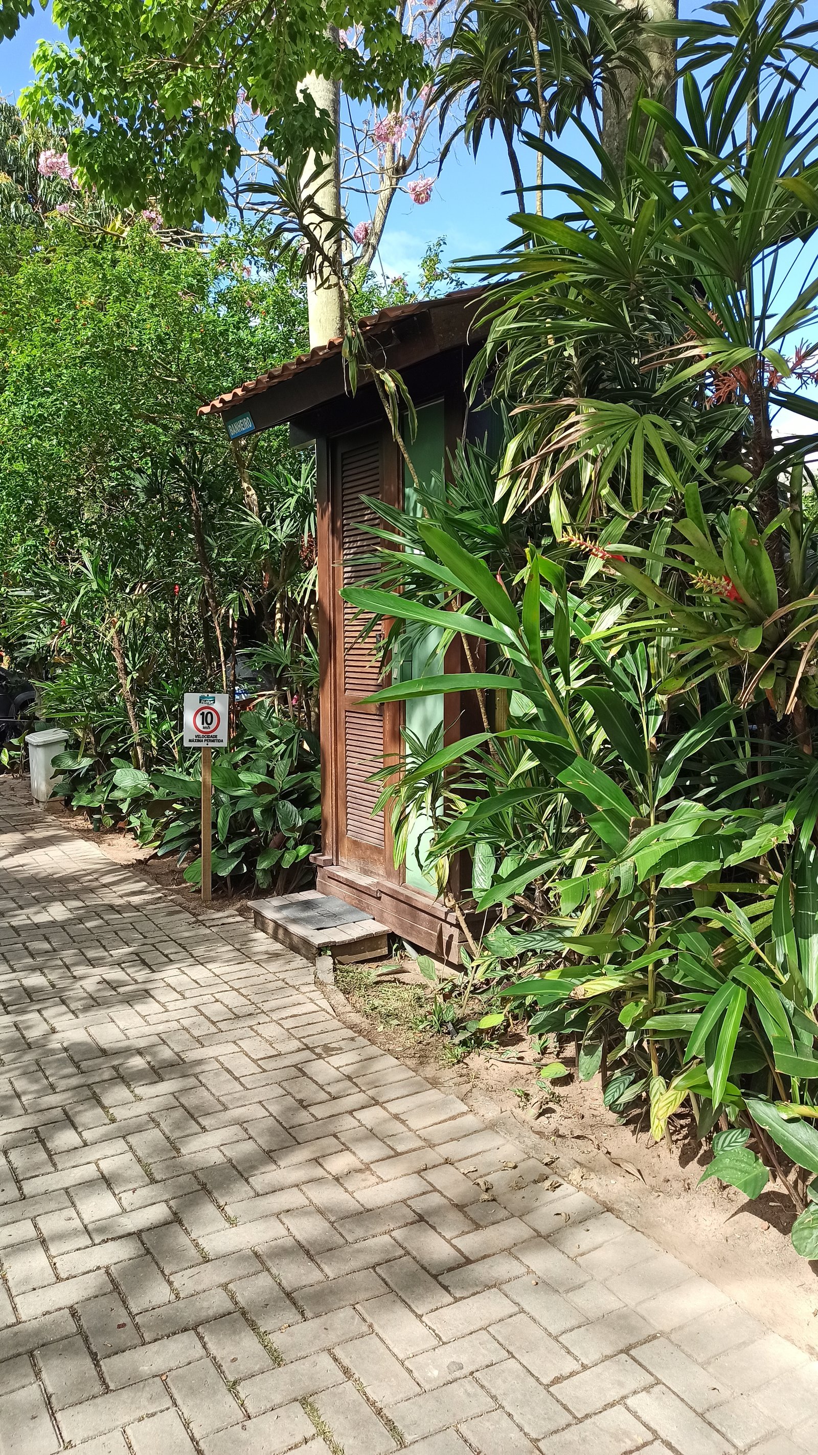 Hotel Natur Campeche - Foto 50