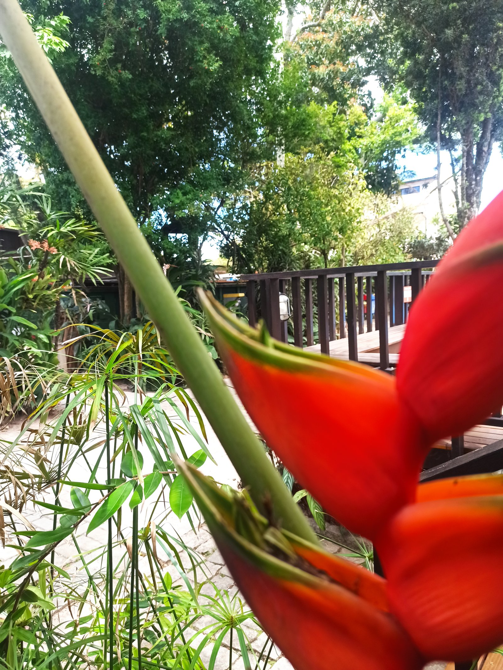 Hotel Natur Campeche - Foto 51