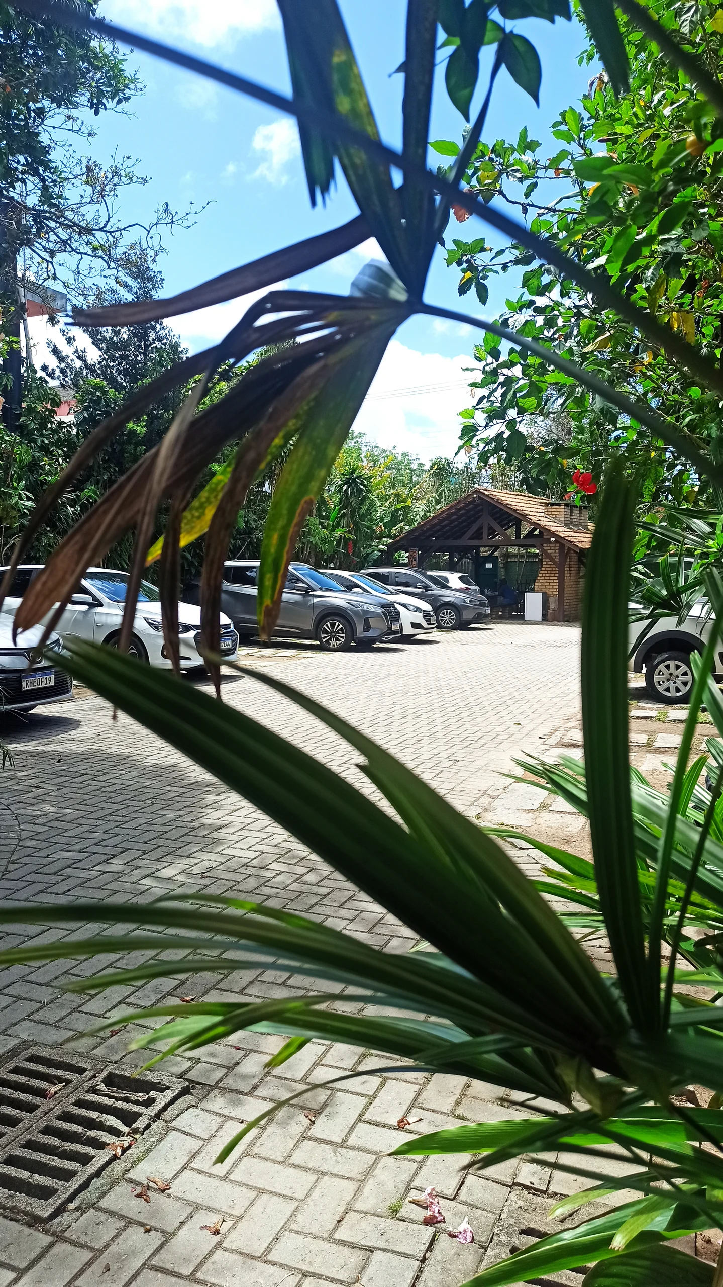 Hotel Natur Campeche - Foto 55