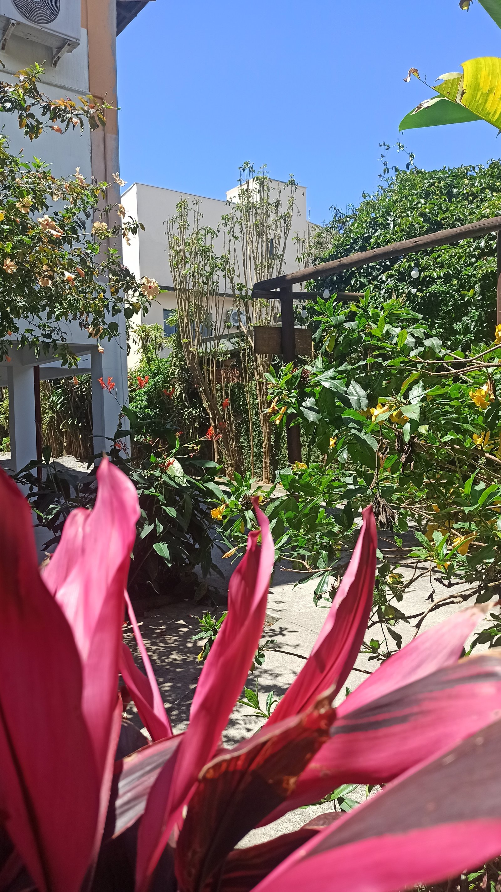 Hotel Natur Campeche - Foto 58