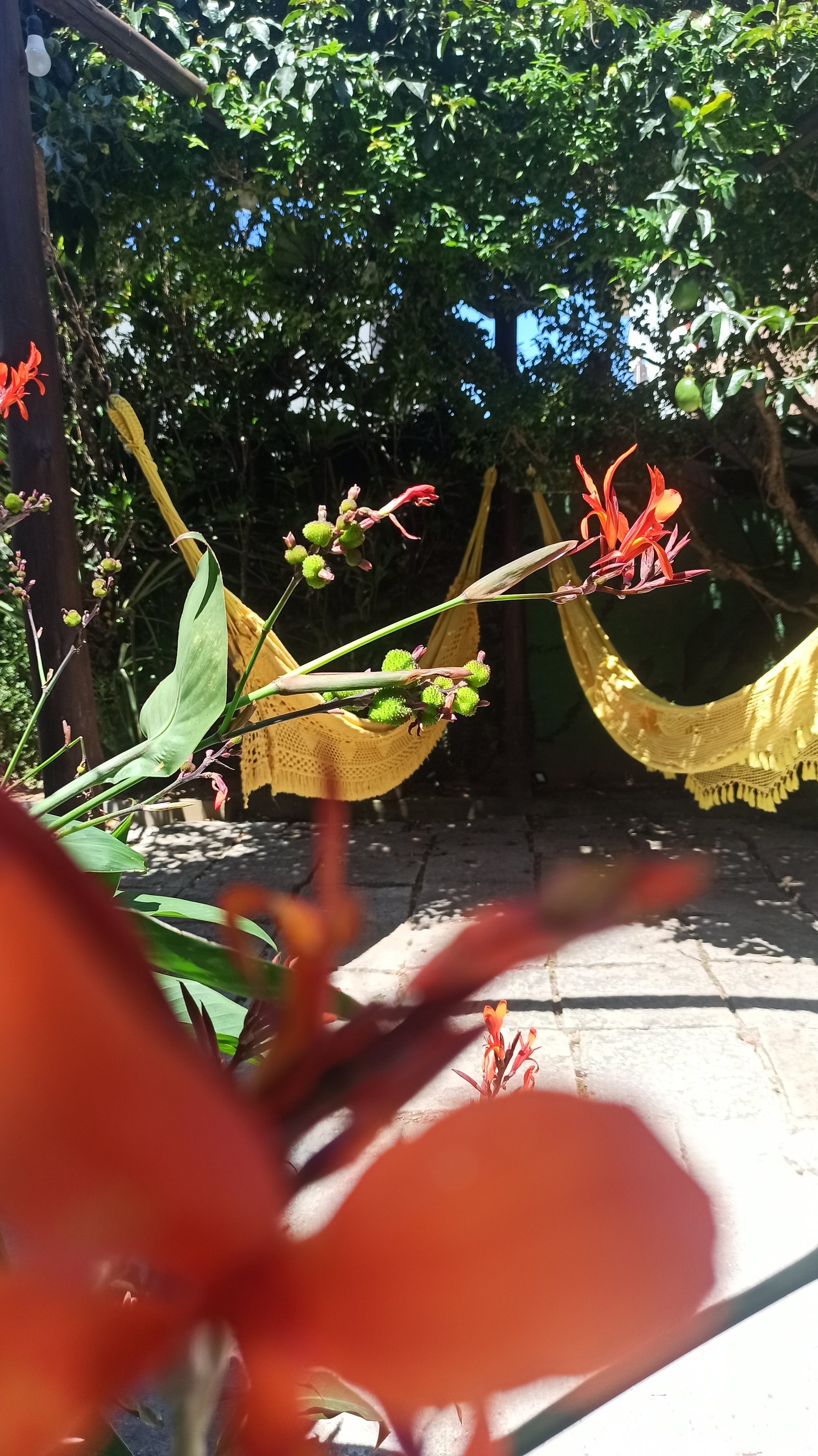 Hotel Natur Campeche - Foto 61