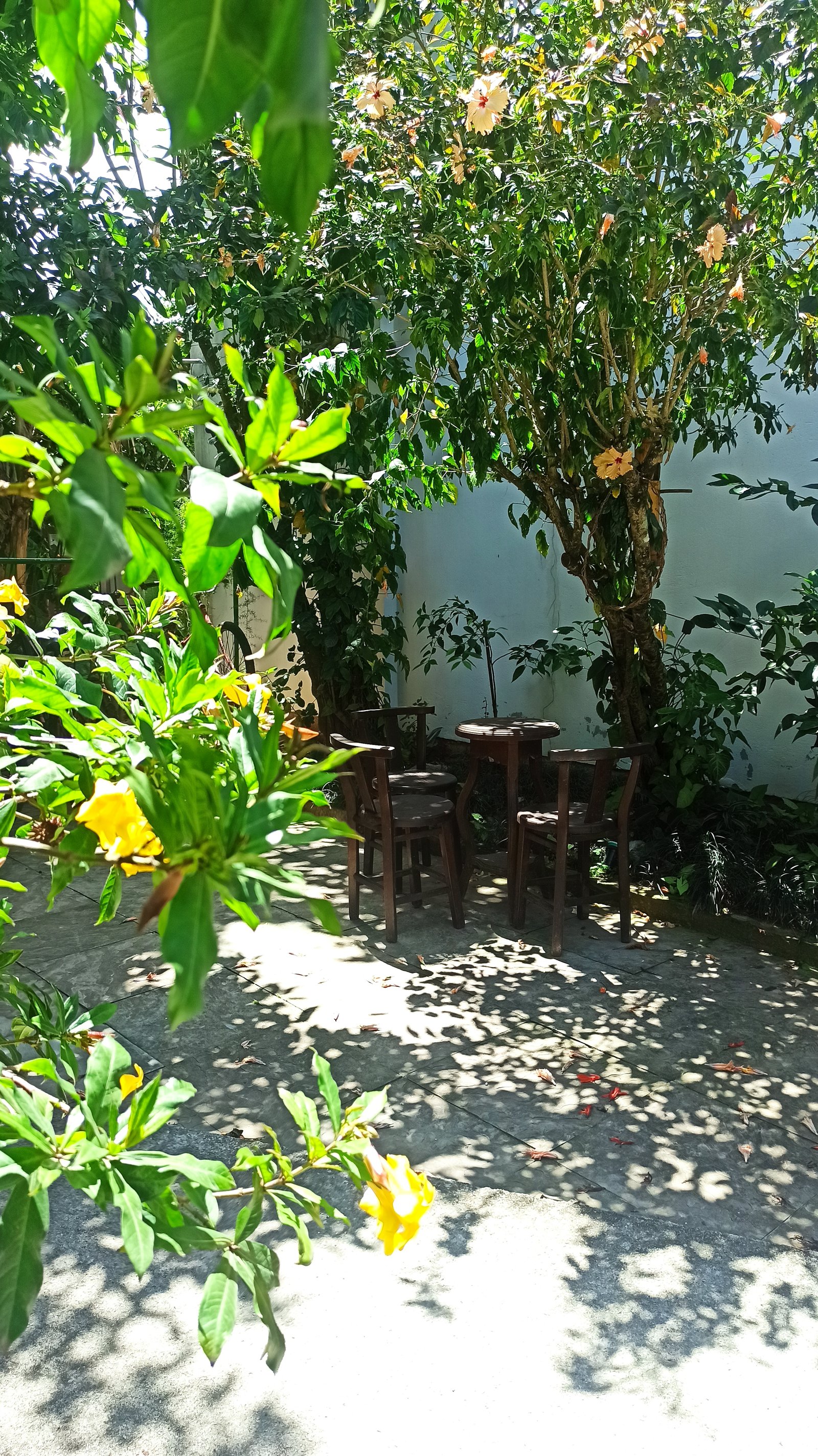 Hotel Natur Campeche - Foto 65