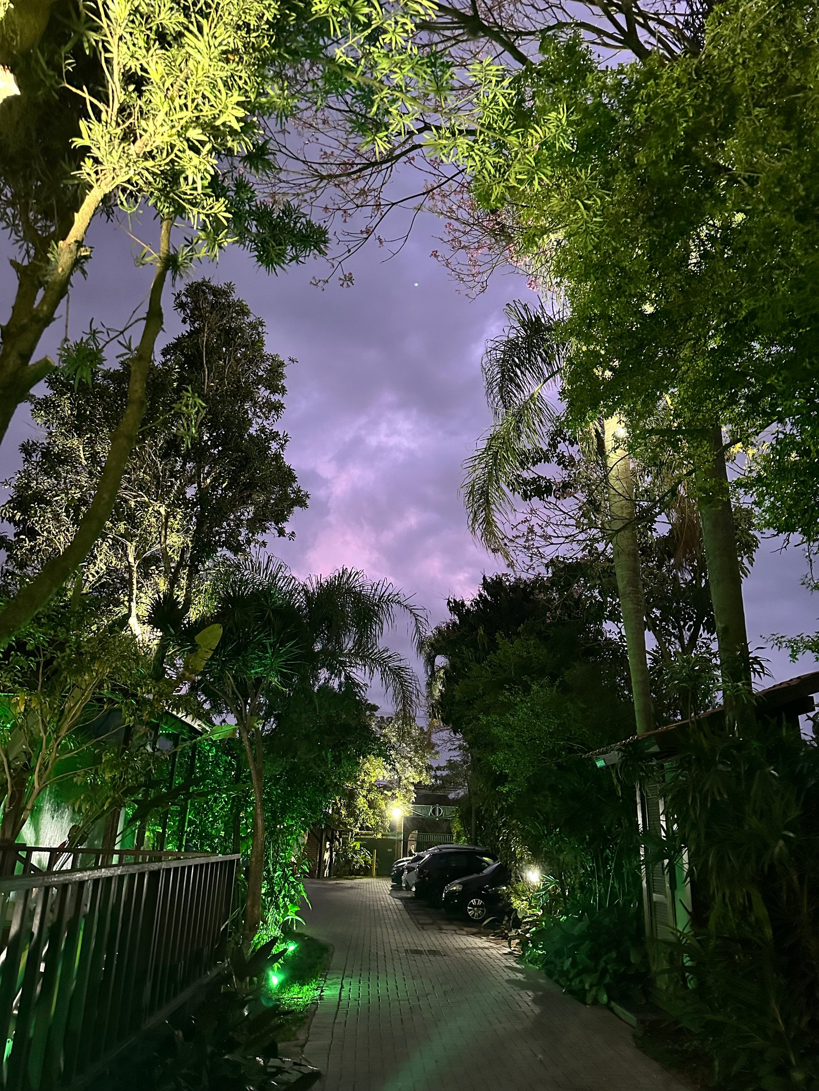 Hotel Natur Campeche - Foto 91