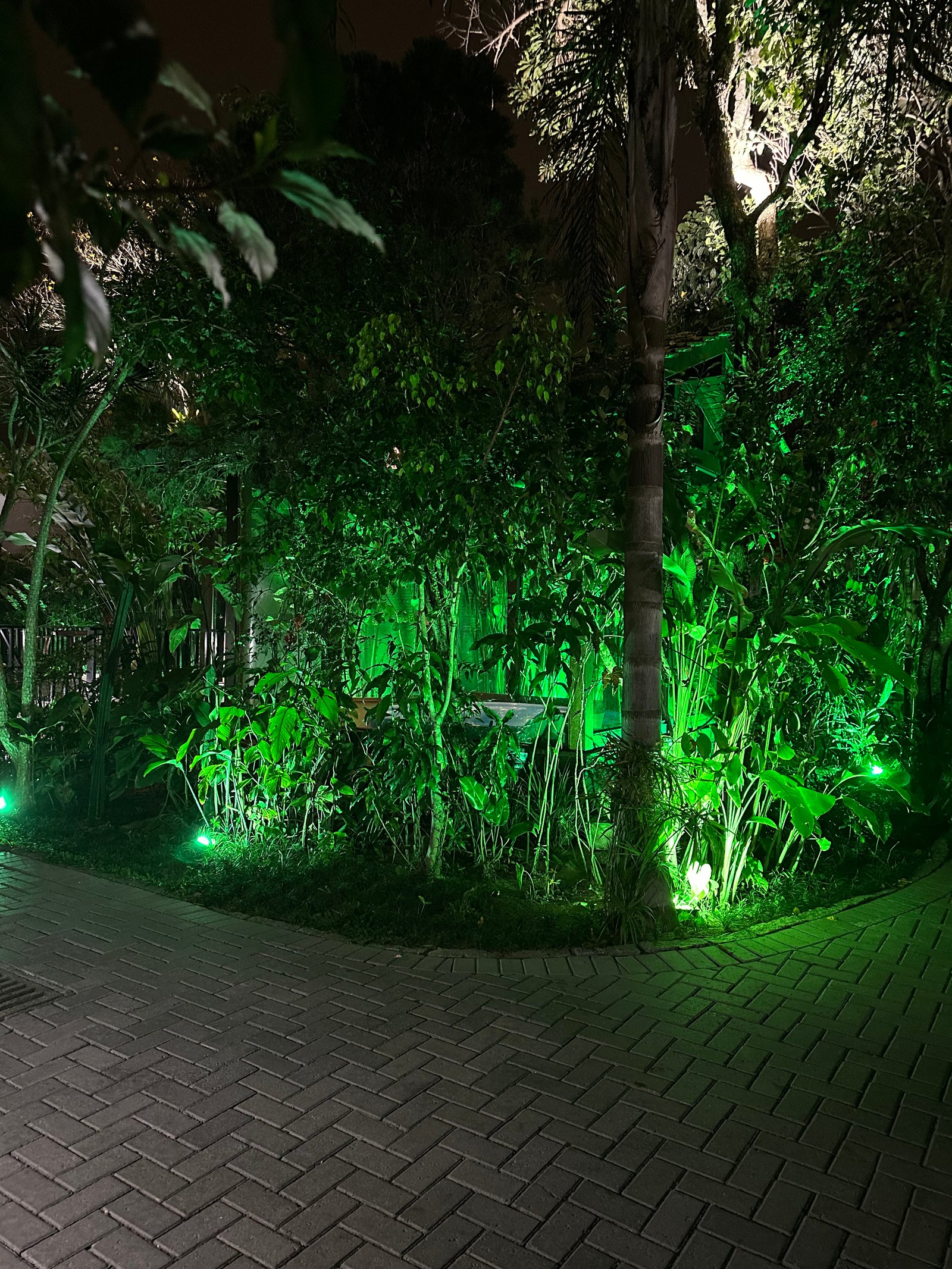 Hotel Natur Campeche - Foto 92