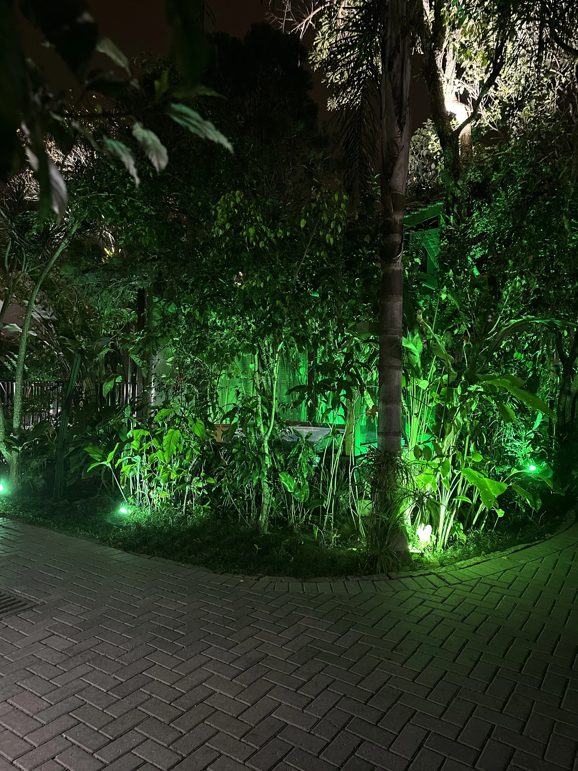 Hotel Natur Campeche - Foto 92