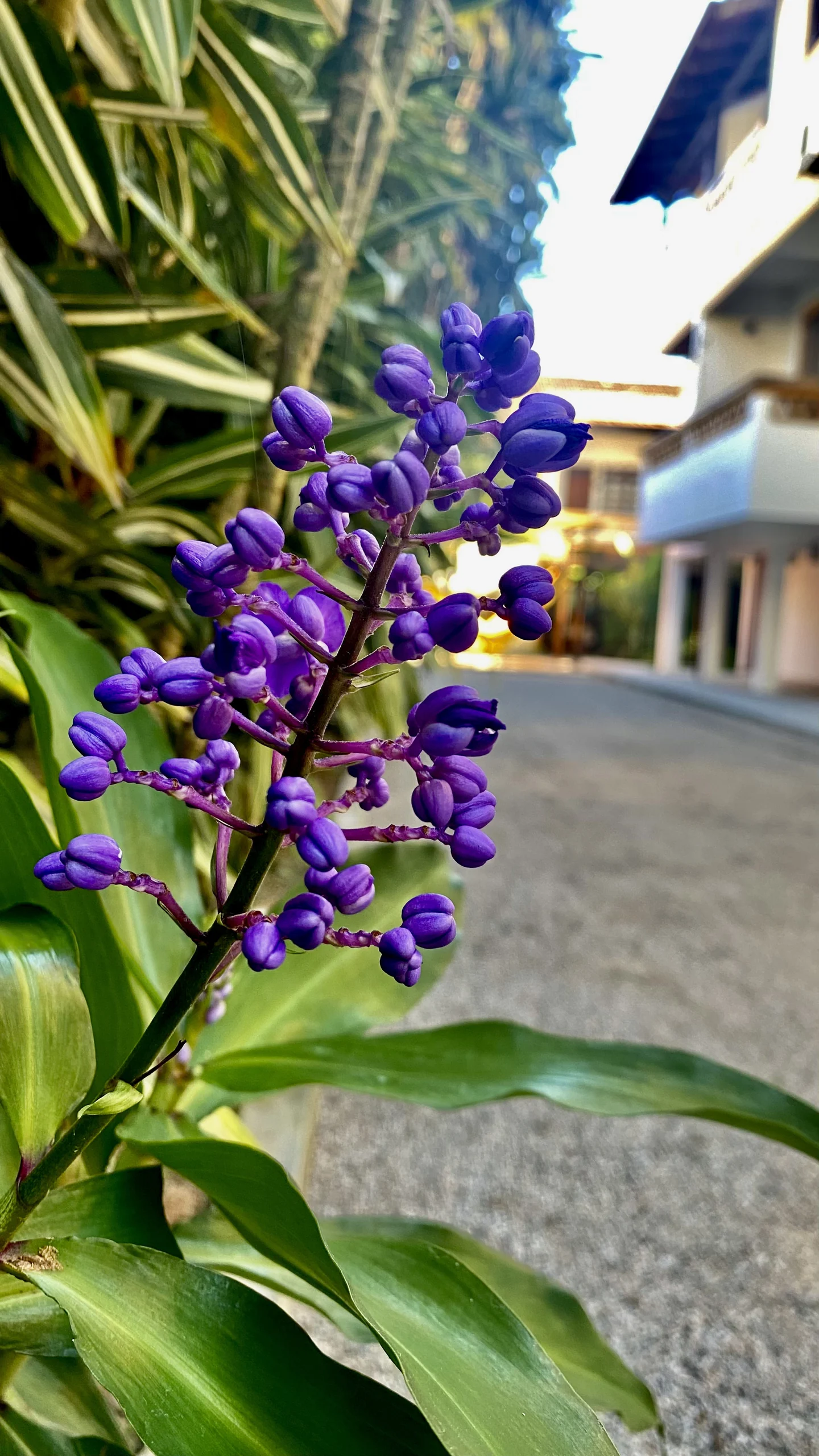 Hotel Natur Campeche - Foto 128