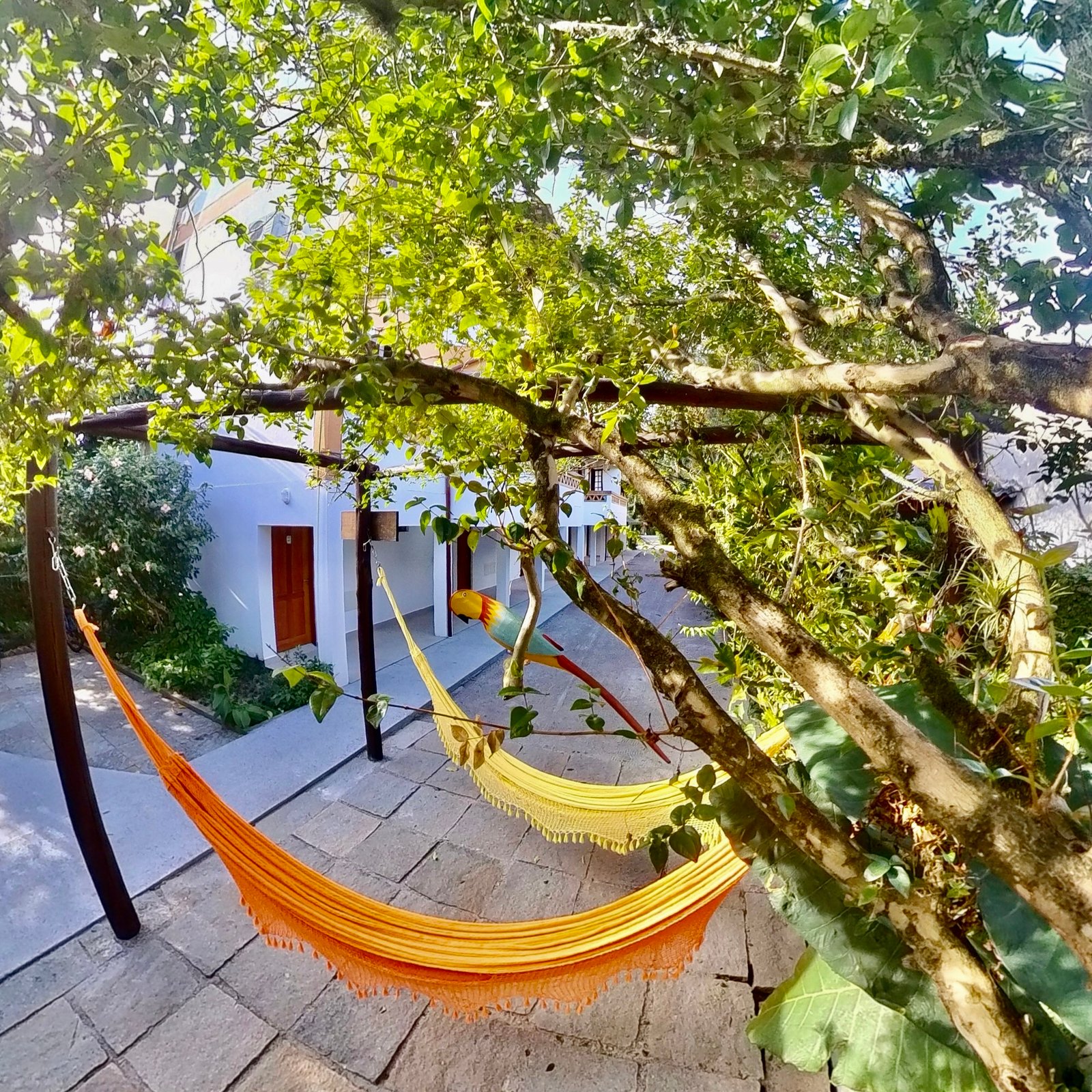 Hotel Natur Campeche - Foto 129