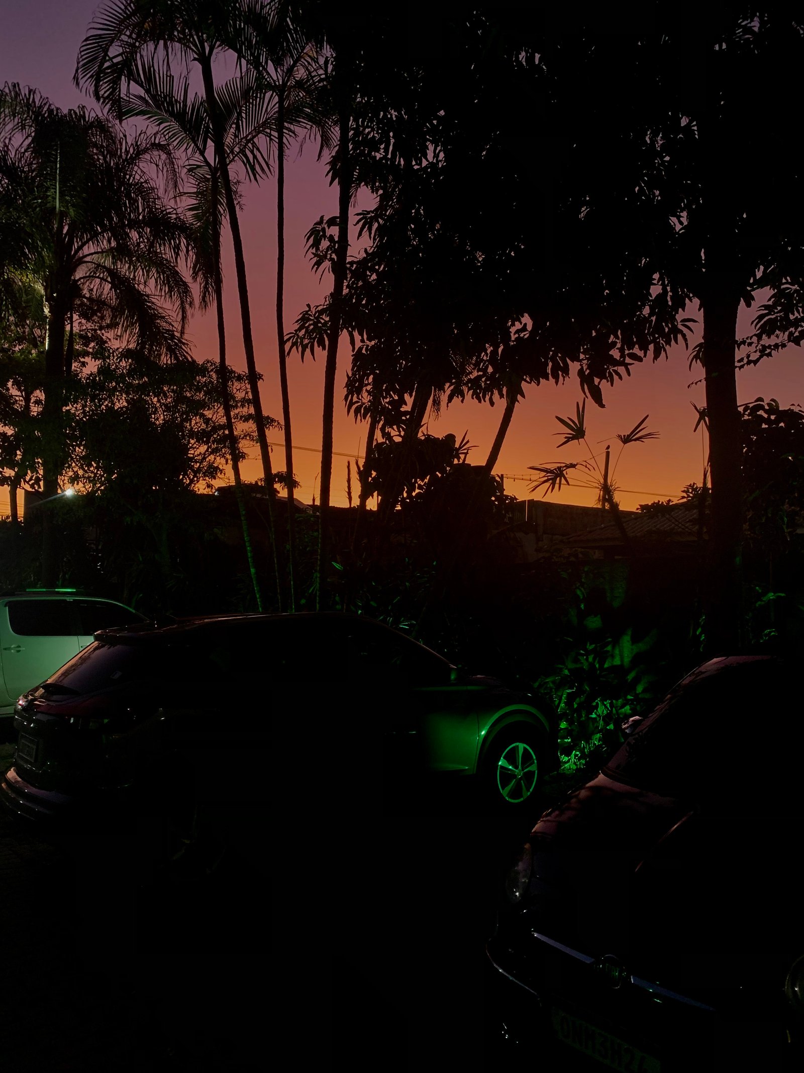 Hotel Natur Campeche - Foto 137