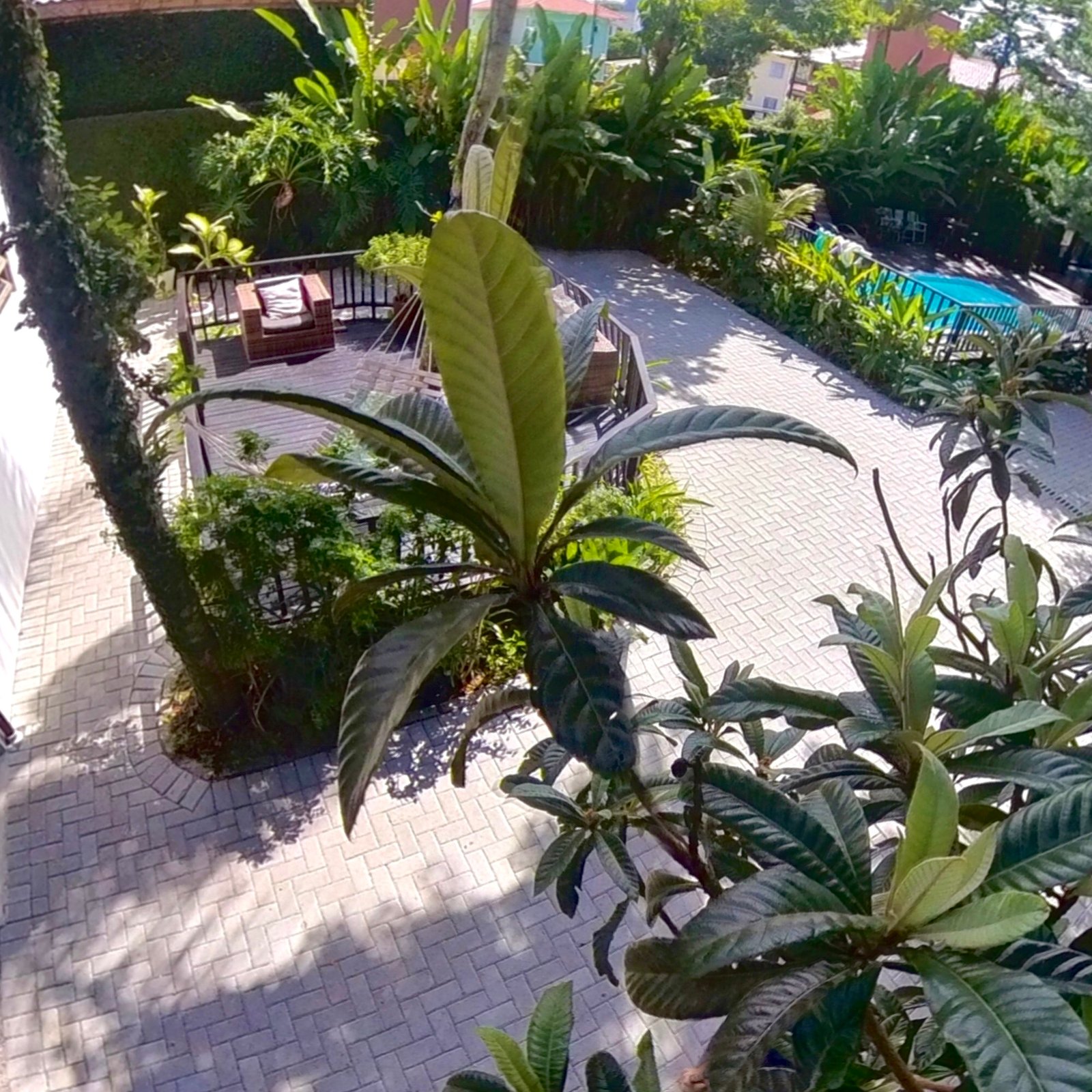 Hotel Natur Campeche - Foto 138