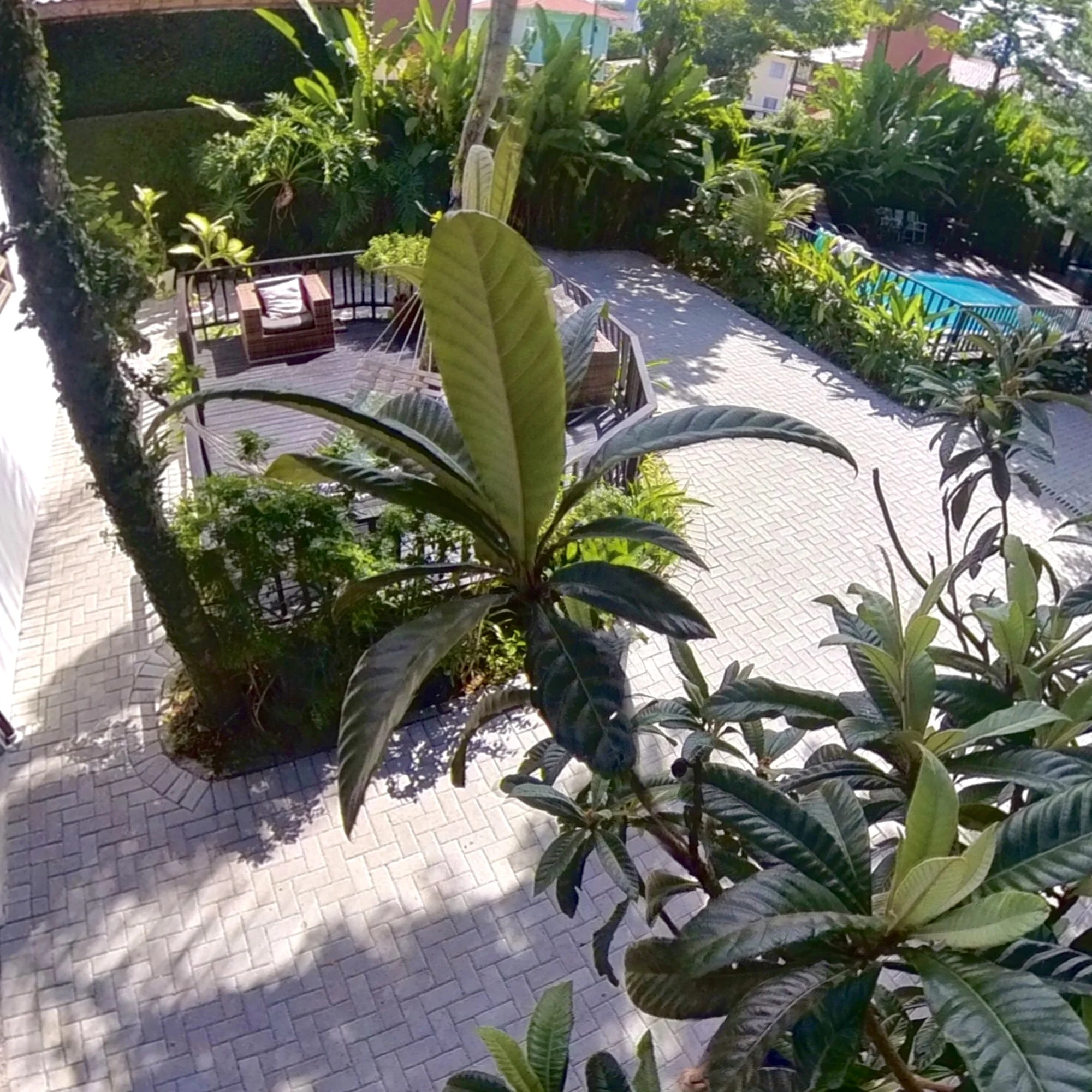 Hotel Natur Campeche - Foto 138