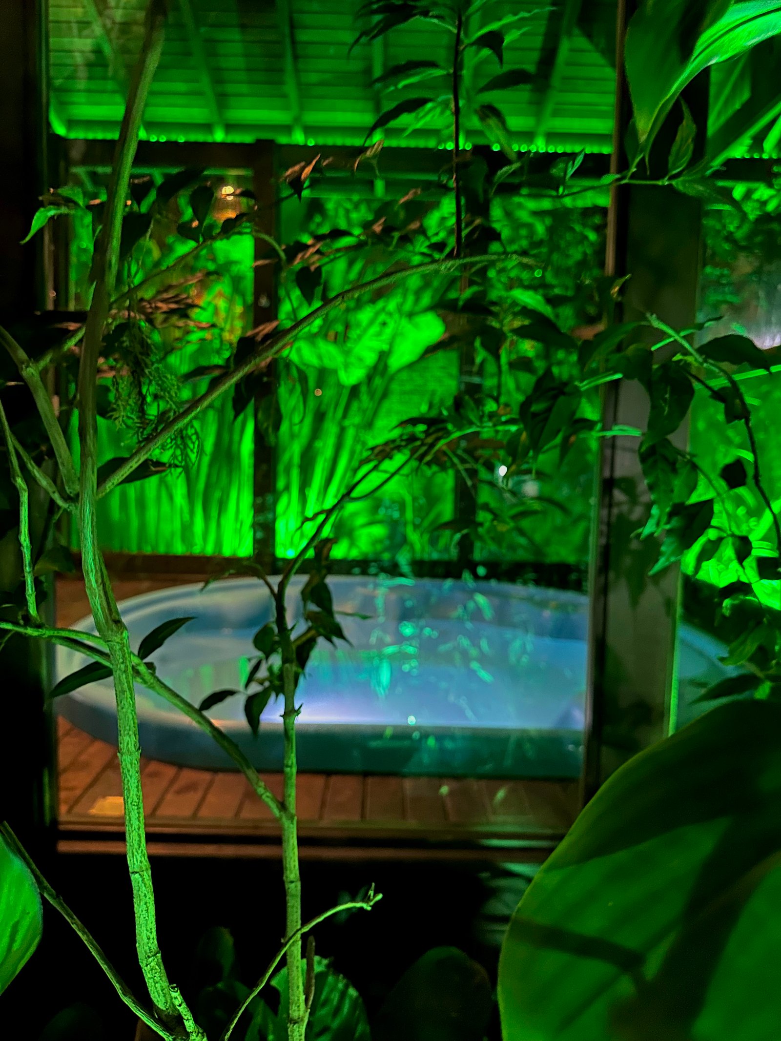 Hotel Natur Campeche - Foto 147