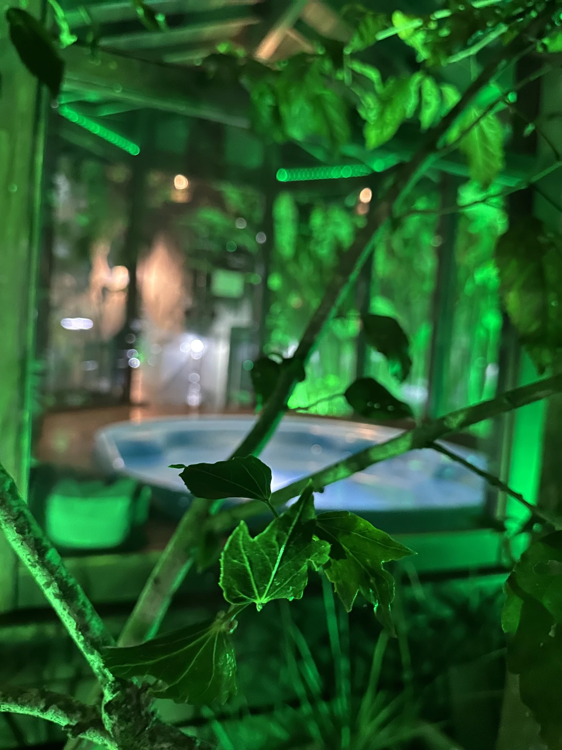 Hotel Natur Campeche - Foto 150