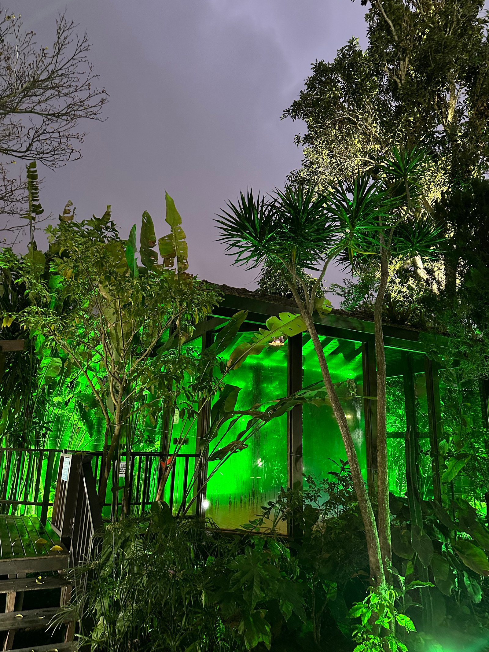 Hotel Natur Campeche - Foto 152