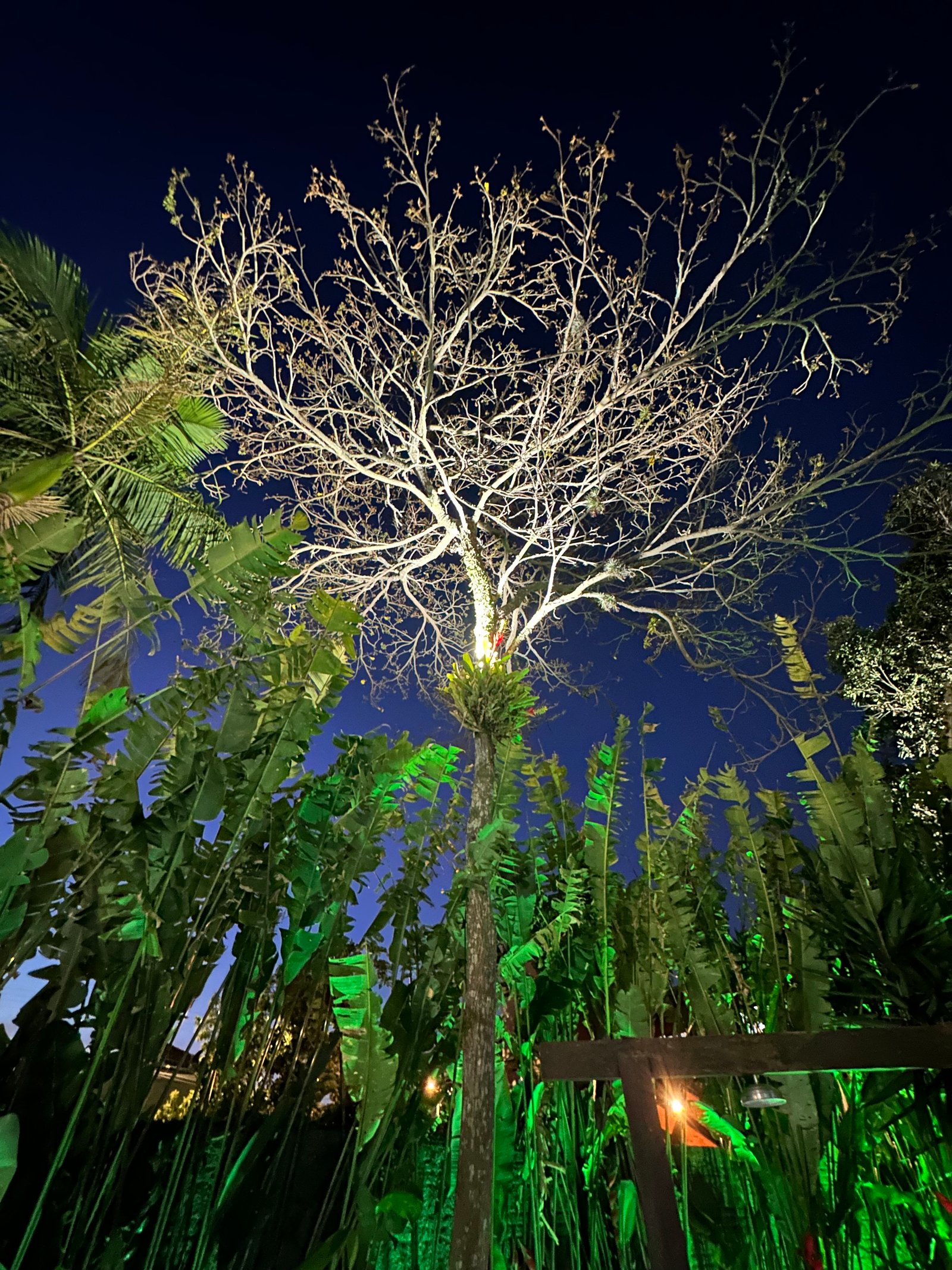 Hotel Natur Campeche - Foto 154