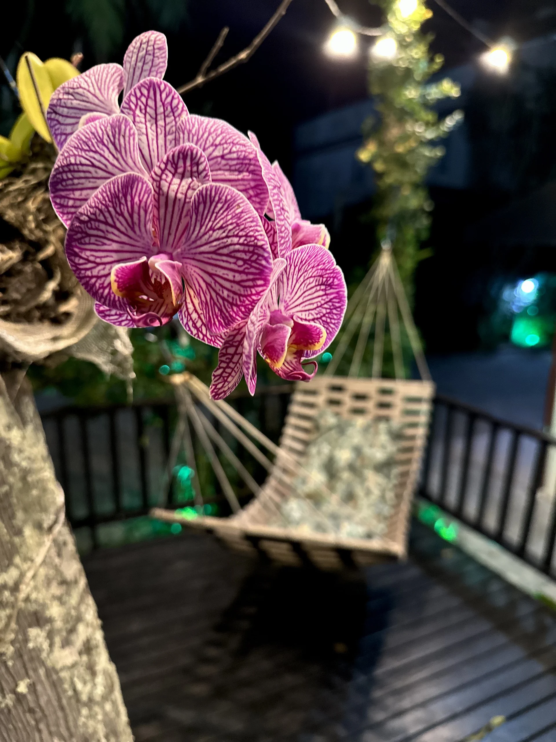 Hotel Natur Campeche - Foto 131